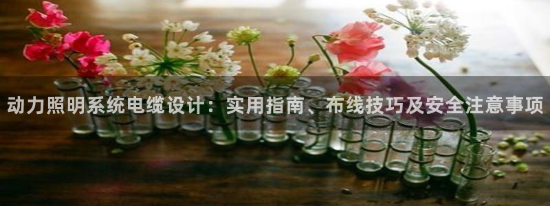 千亿国际唯一官方网站-5.27 InURl:yjjzxh:动力照明系统电缆设计:实用指南、布线技巧及安全注意事项
